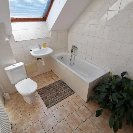 Apartment Premyslovcu *